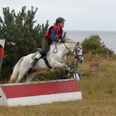 Anden særlig race Hyldeholts Butterfly