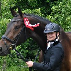 Dansk Varmblod Janus Lundsgård