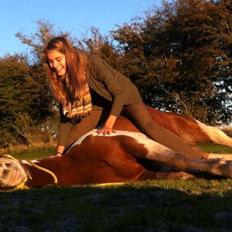 Pinto Tinker blanding Ronja "Ponyen med pletter"