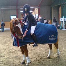 Anden særlig race Sjors