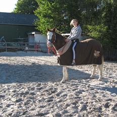 Anden særlig race Solvanggaards Snoopy