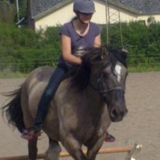 Anden særlig race Mammut