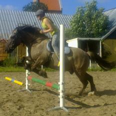 Anden særlig race Mammut