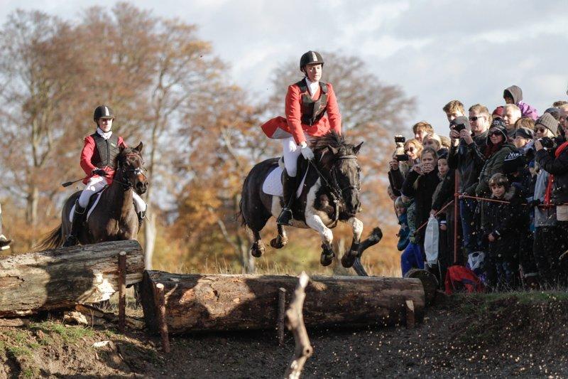 Pinto Blackie - Jagtponyen - Hubertusjagt 2012 - Magasindammen billede 1
