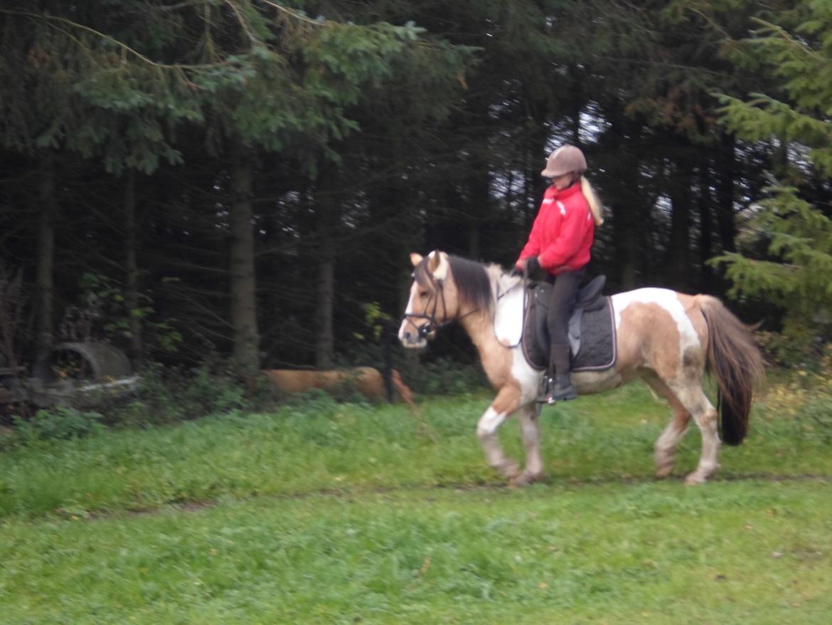 Anden særlig race Alexandra <33 - du er den bedste!!! <3 billede 4