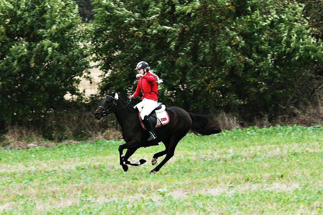 DSP Day-lights naomi - Opløbet:D
Jeg var super glad :)! billede 40