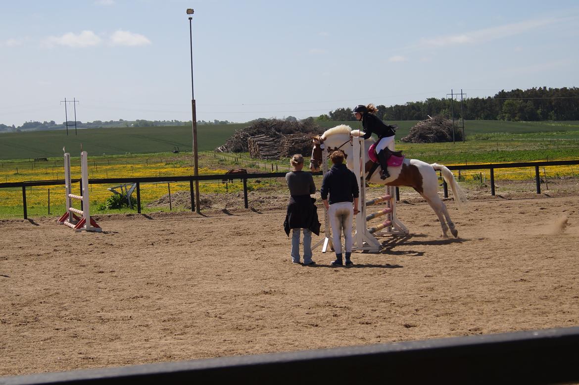 Anden særlig race Åbo 's sweet <3 billede 2
