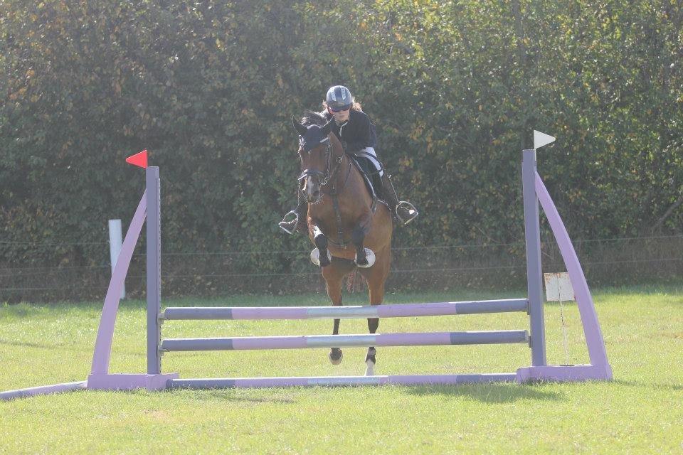 Welsh Partbred (Sec F) Krones Cirkeline billede 26