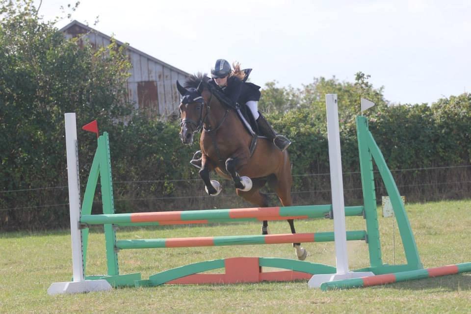 Welsh Partbred (Sec F) Krones Cirkeline billede 31