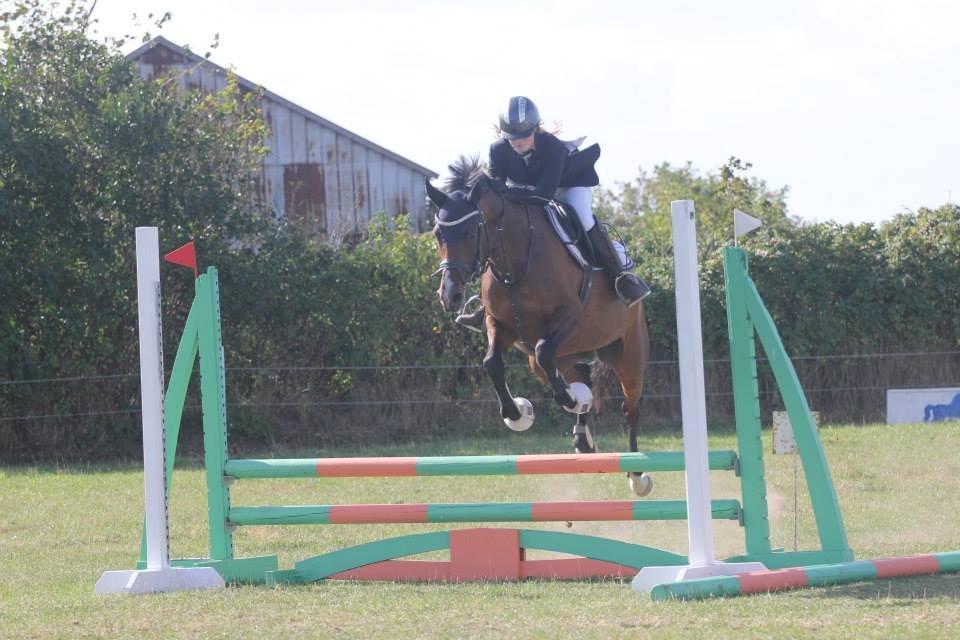 Welsh Partbred (Sec F) Krones Cirkeline billede 34