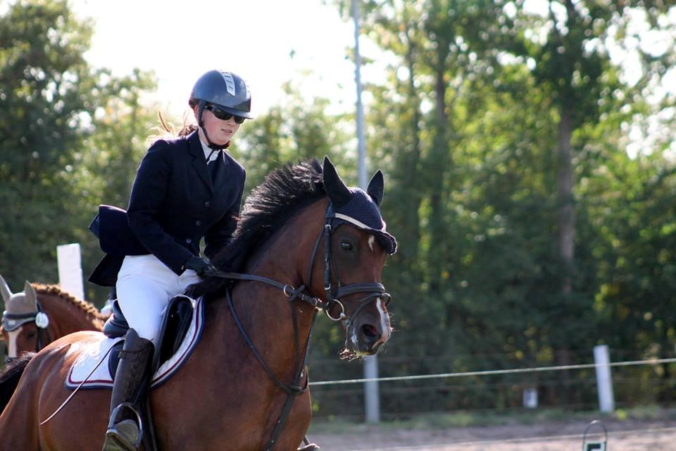 Welsh Partbred (Sec F) Krones Cirkeline billede 36