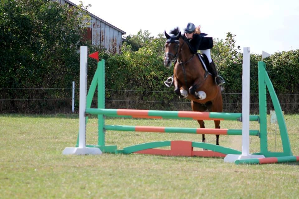 Welsh Partbred (Sec F) Krones Cirkeline billede 37