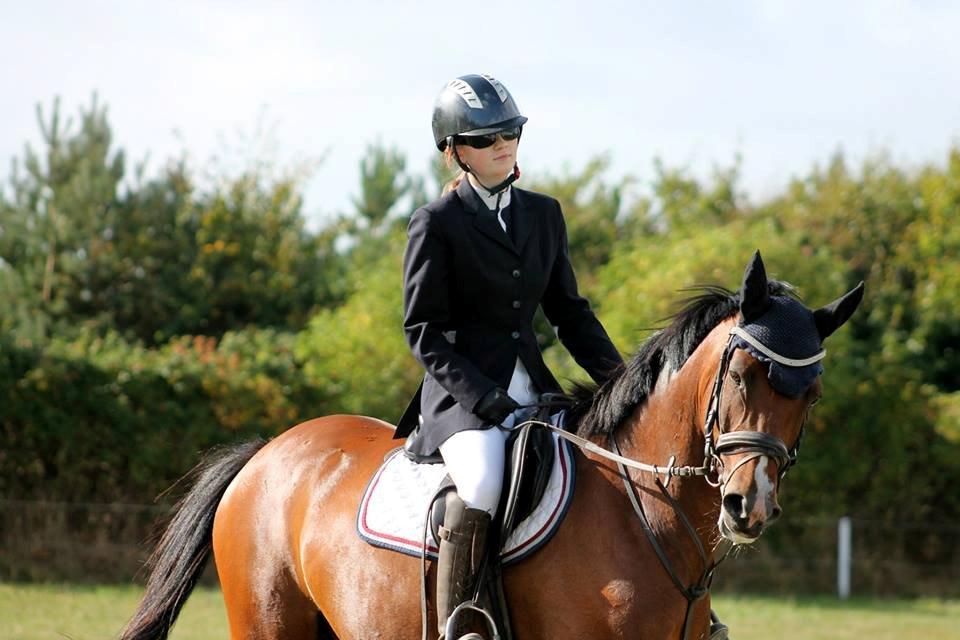 Welsh Partbred (Sec F) Krones Cirkeline billede 40