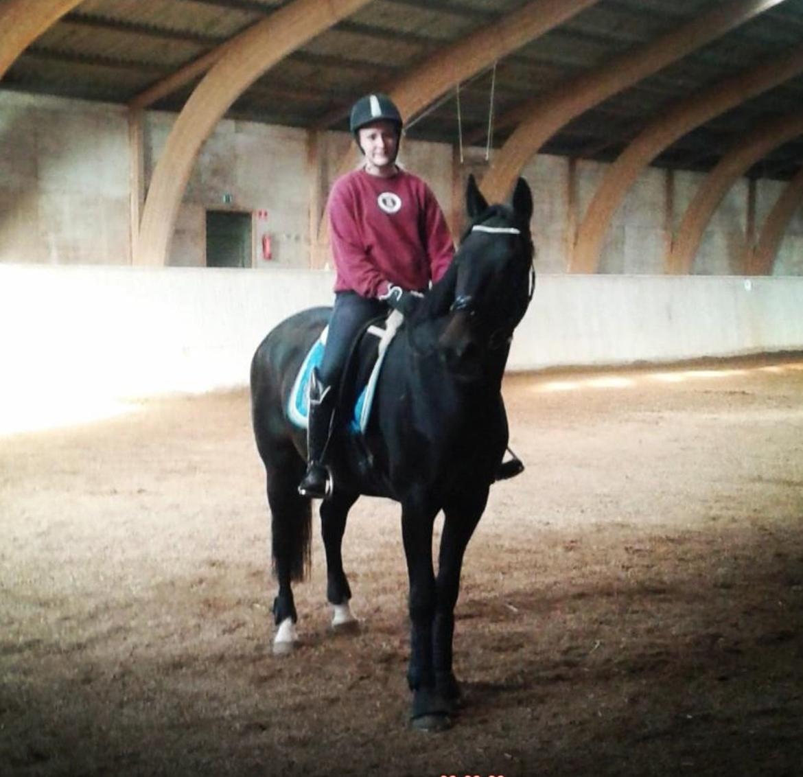 Anden særlig race Sweet Alexander - Første gang jeg sad på ryggen af ham. billede 2