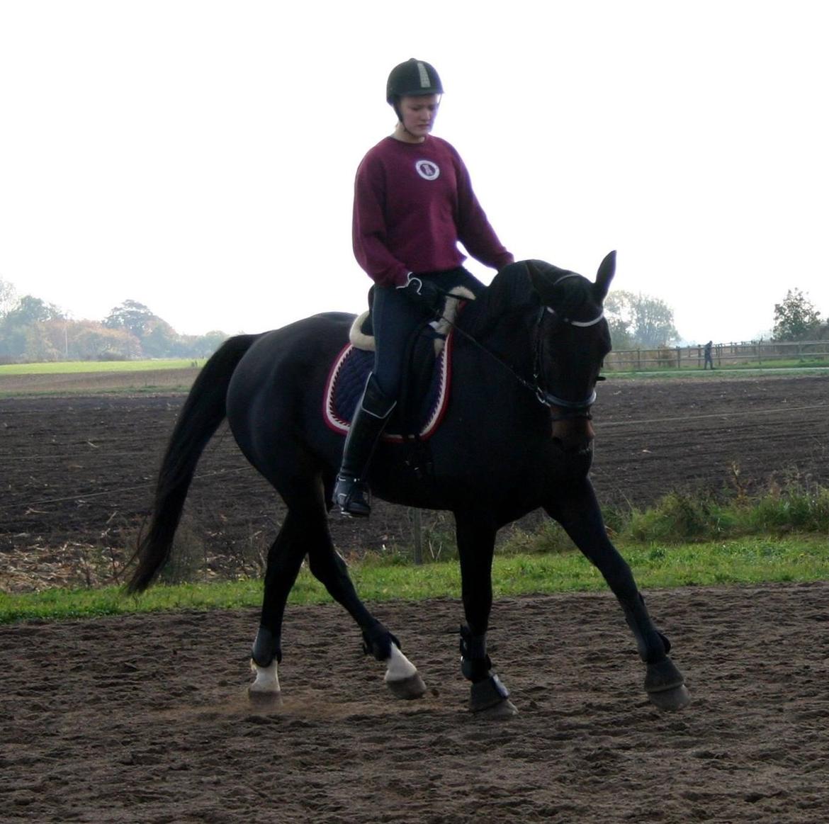 Anden særlig race Sweet Alexander - Træning d.14/10-13, efter 14 dage. billede 4
