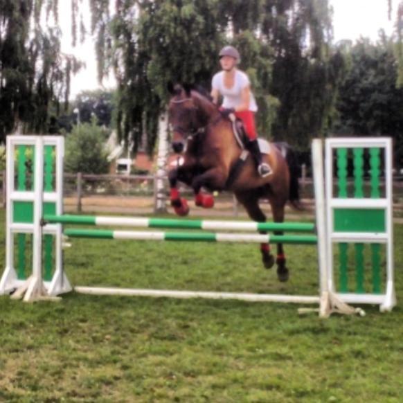 Holstener Jarl billede 18