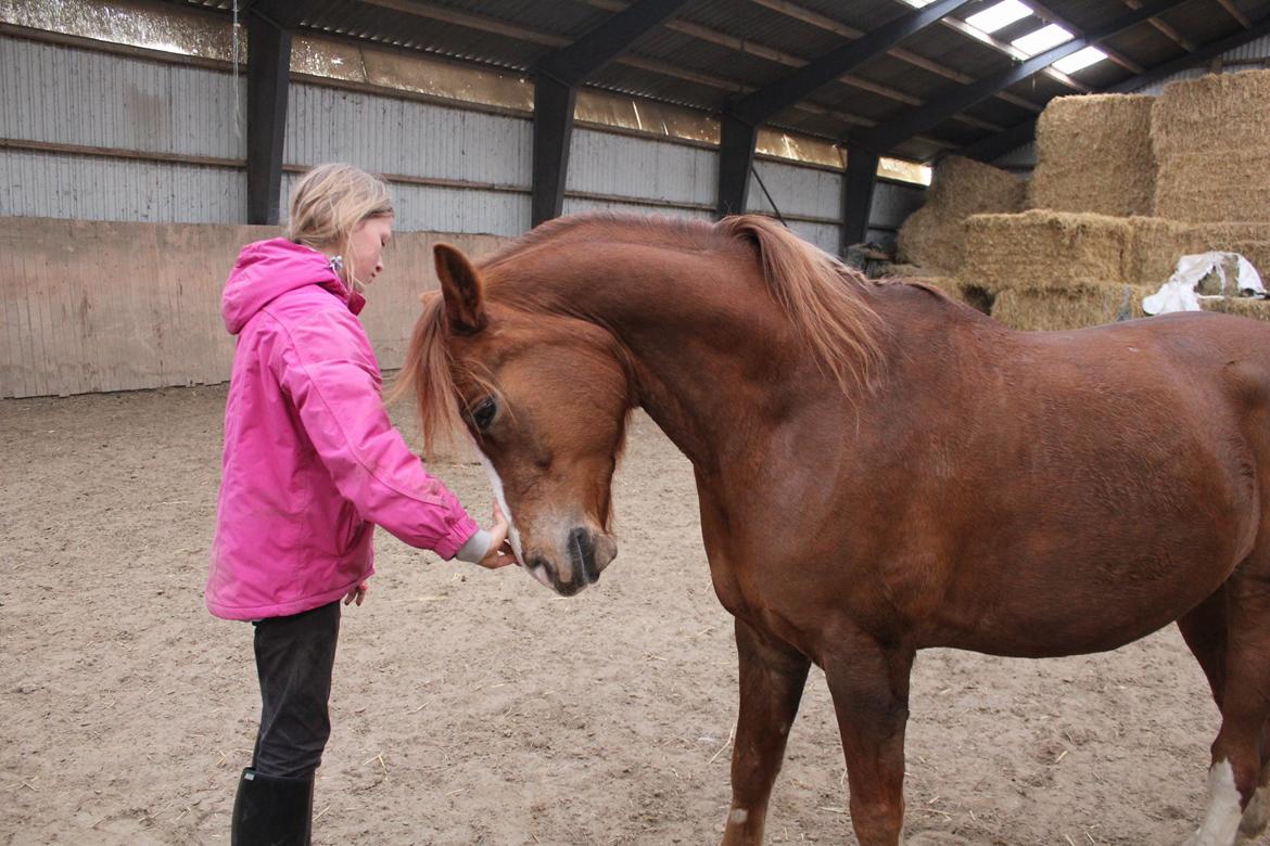 Anden særlig race Dreamer<3 - Elsker dig virkelig skat!<3 billede 8