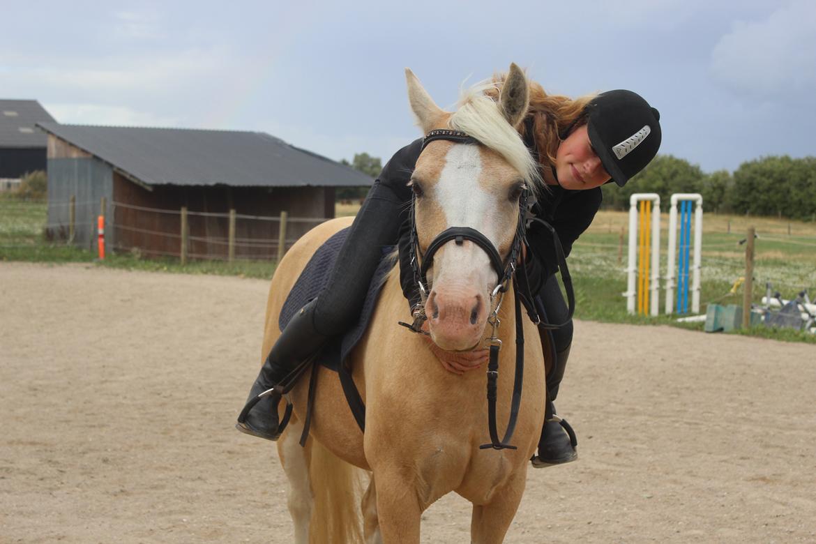 DSP Tovdal's Ivory Princess <3 - verdens bedste <3 billede 2