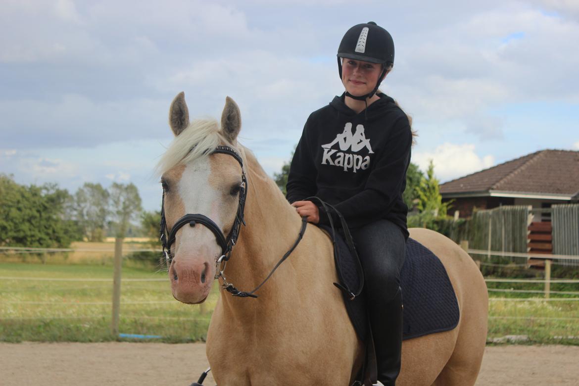 DSP Tovdal's Ivory Princess <3 - velkommen til Ivorys profil <3 billede 1