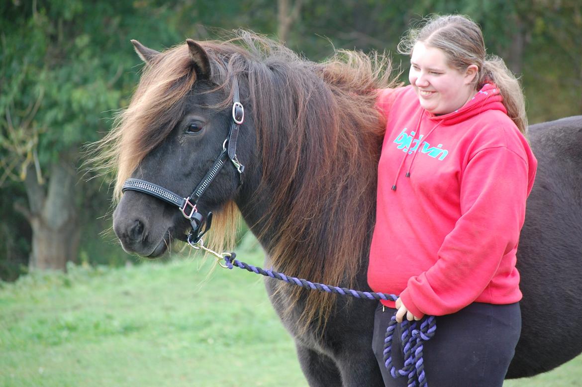 Islænder Vaka fra Stårup - Mig og min skønne hoppe okt 2013 billede 2