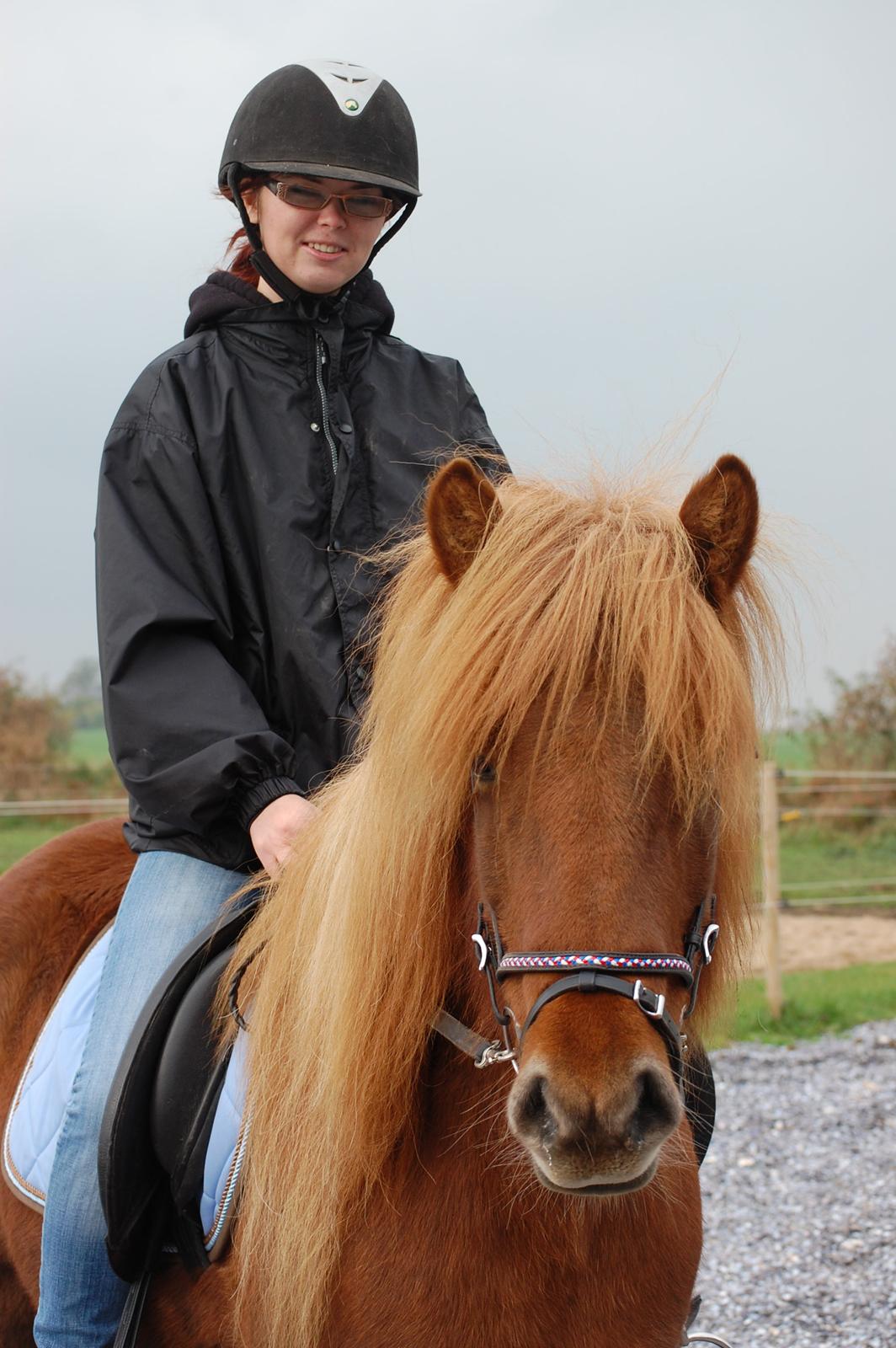 Islænder Skutla fra Anglesey billede 9