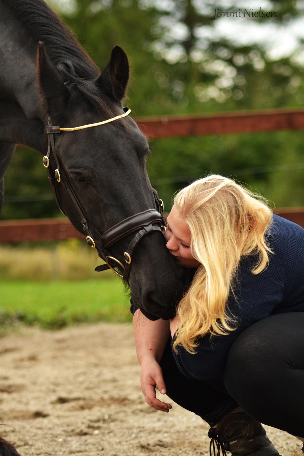 Frieser Joop Fan'e Sjongedyk "faust" - De sidste billeder med faust, sov godt baby <3 billede 1