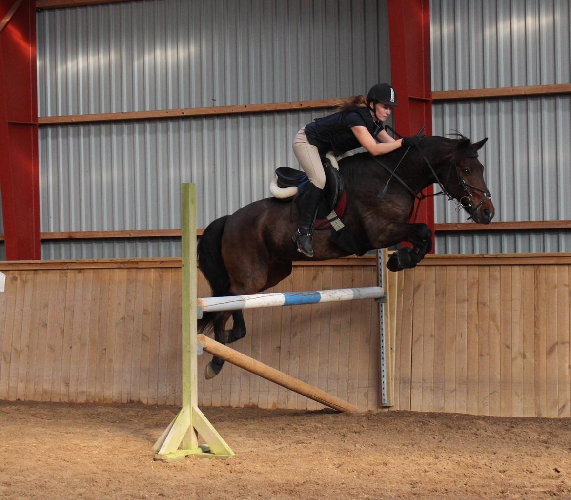 Anden særlig race Balou - Min dejlige prins ! <3 billede 17