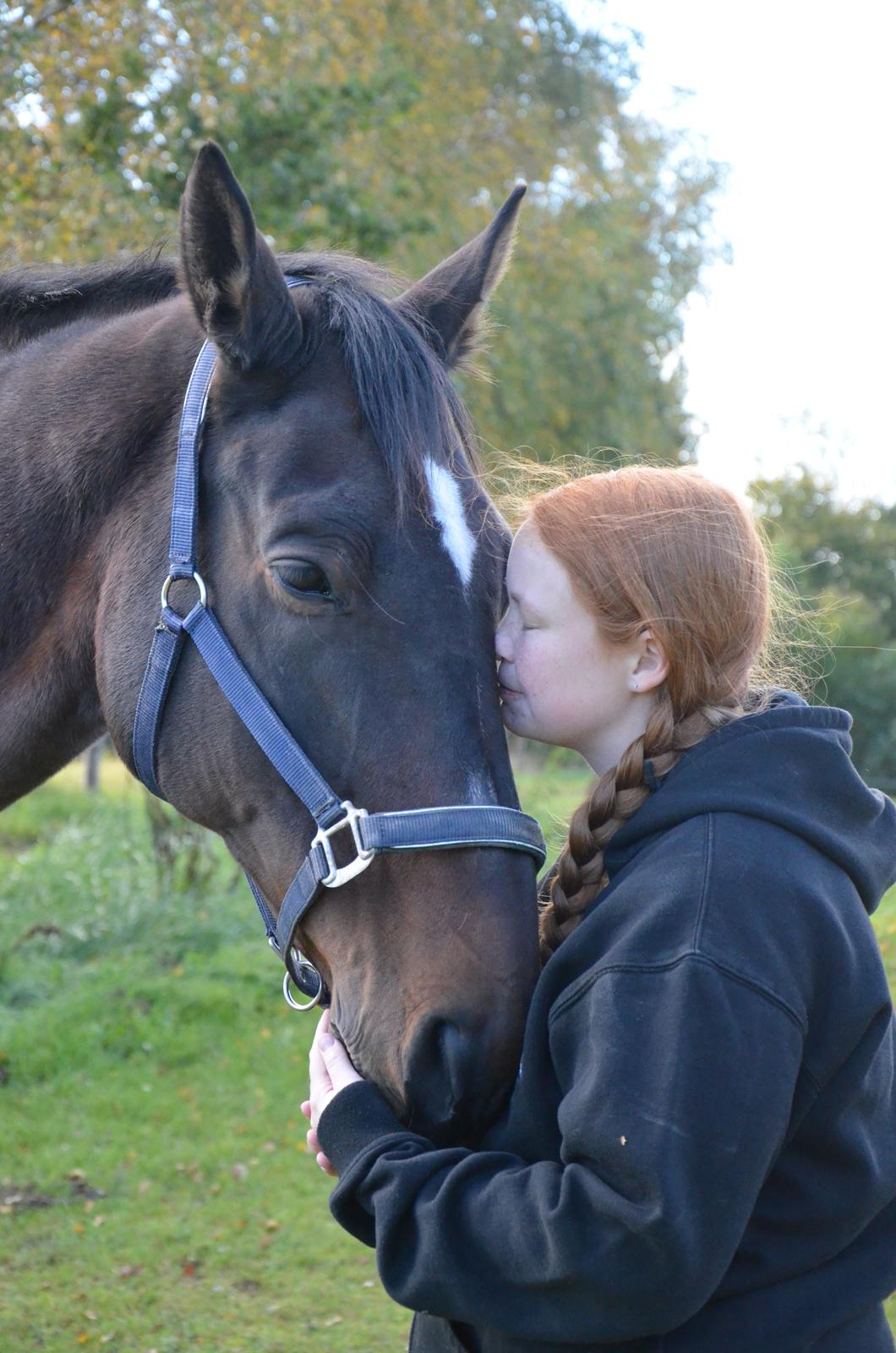 Dansk Varmblod SCHWANTE - ELSKER dig min dreng ;) billede 36