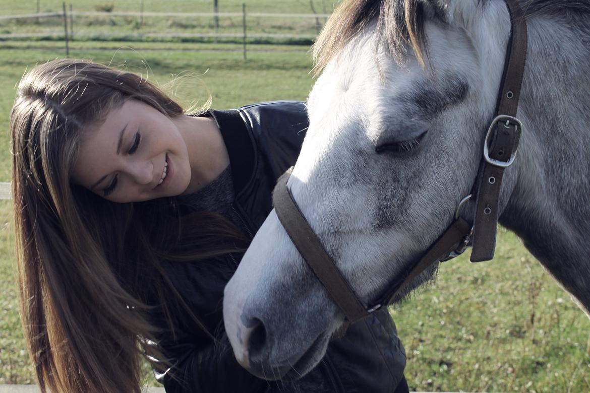 Welsh Pony (sec B) Lundehuset's Harmonie - I love you <3 billede 1