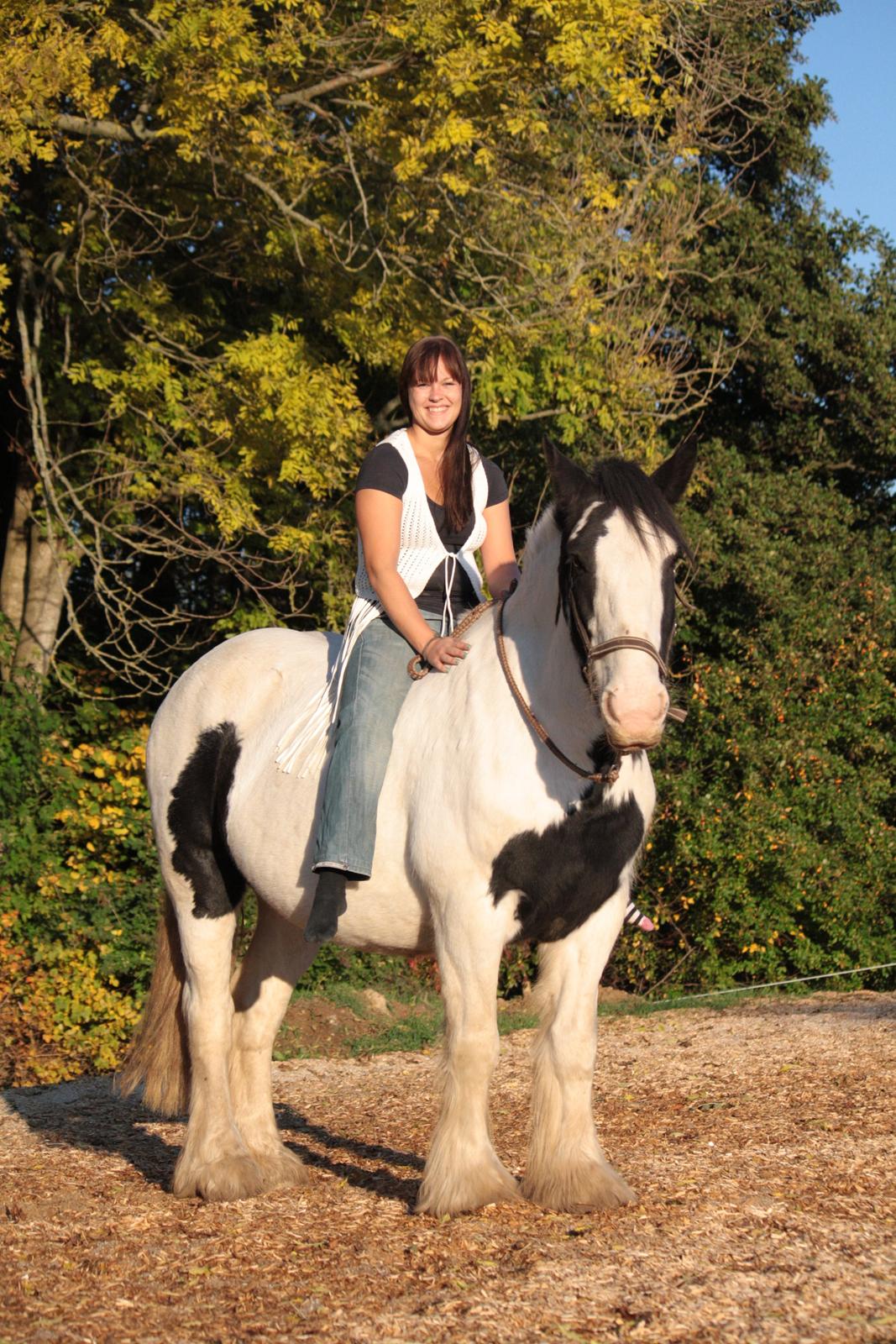 Tinker Auburn Flyer billede 5