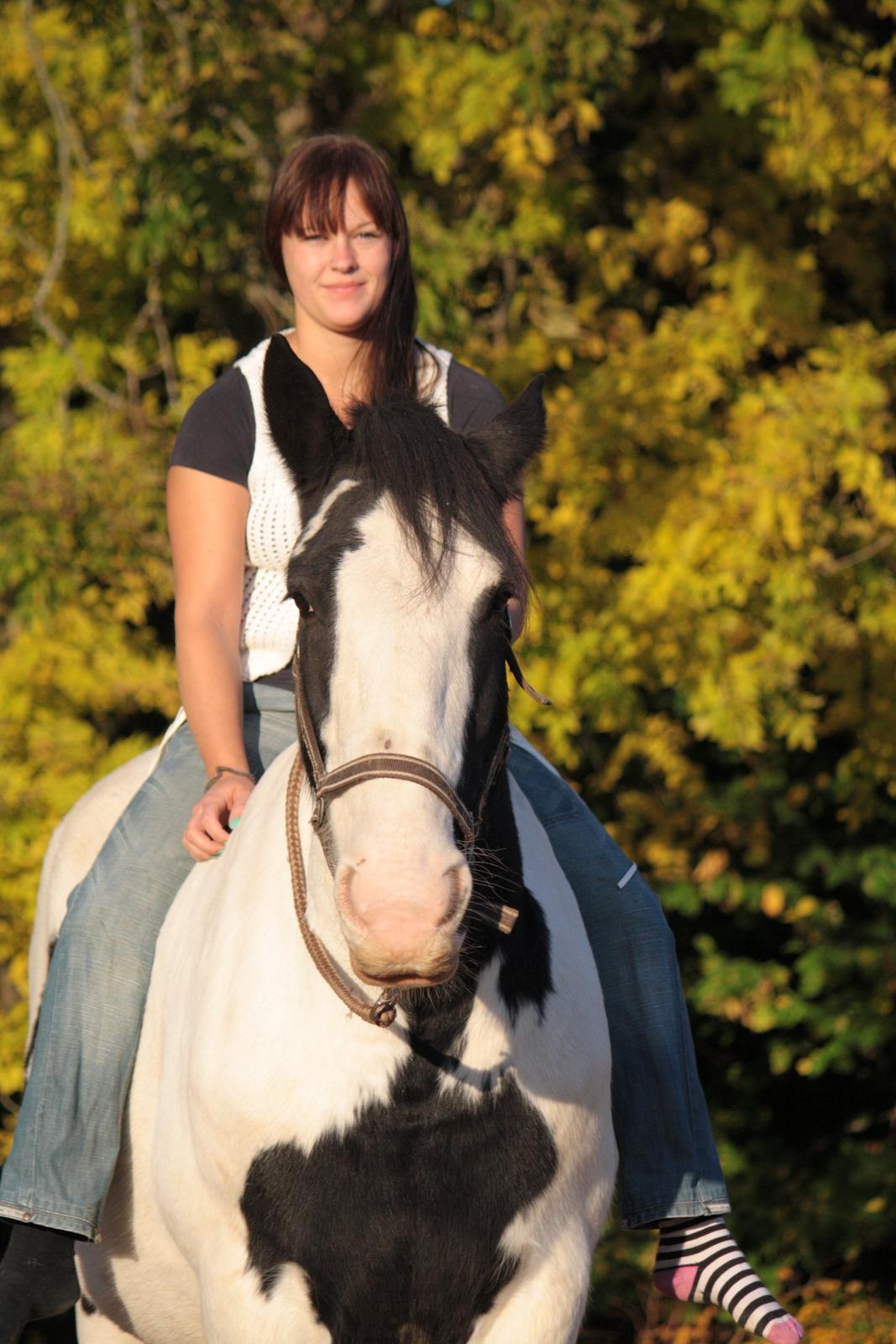 Tinker Auburn Flyer billede 6