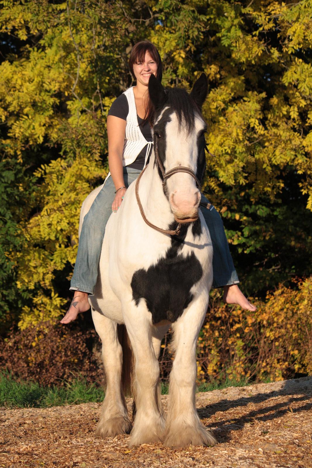 Tinker Auburn Flyer billede 7