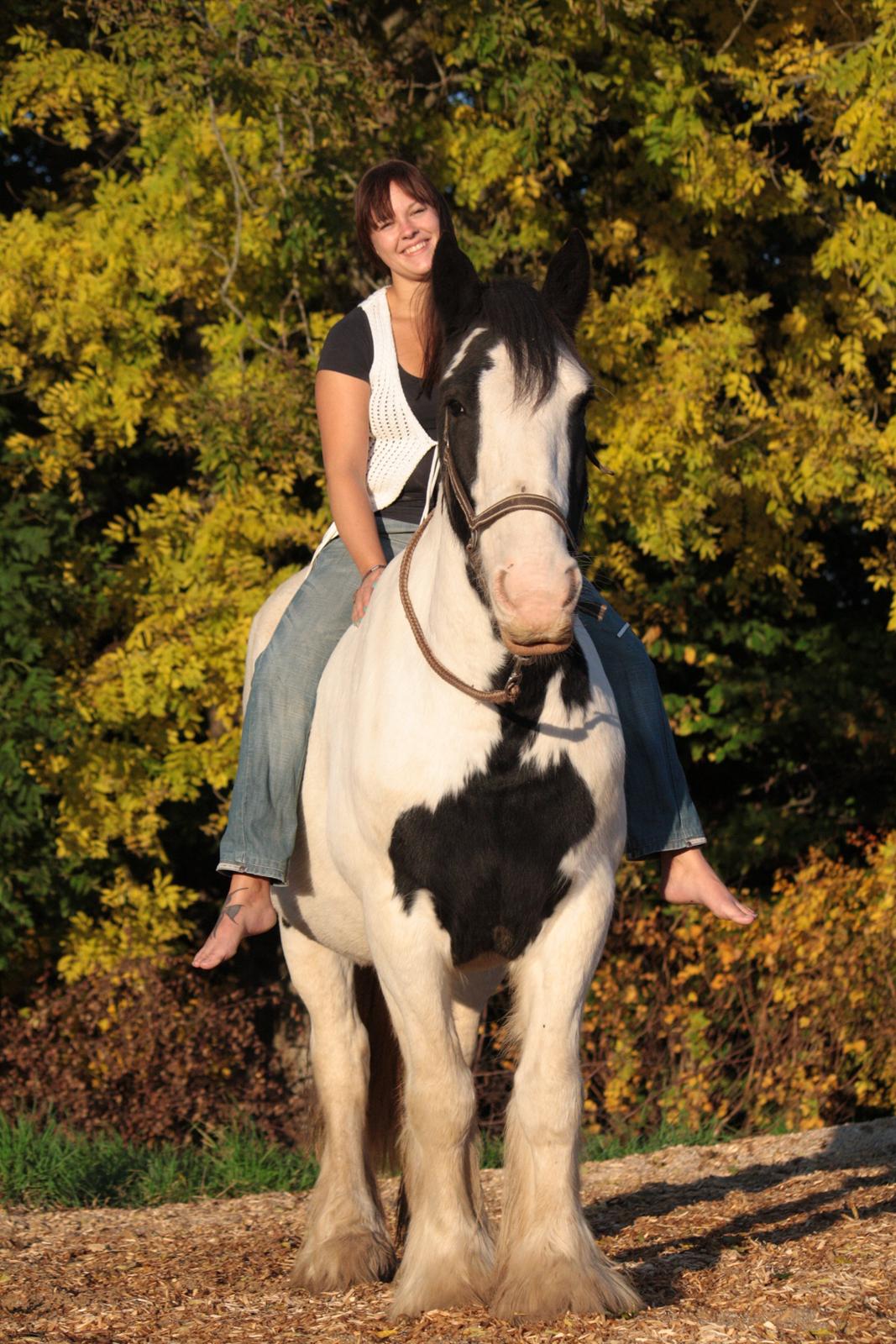 Tinker Auburn Flyer billede 8