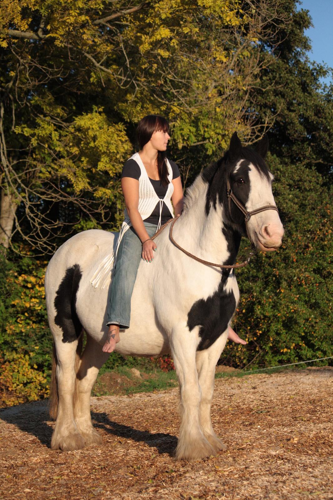 Tinker Auburn Flyer billede 9