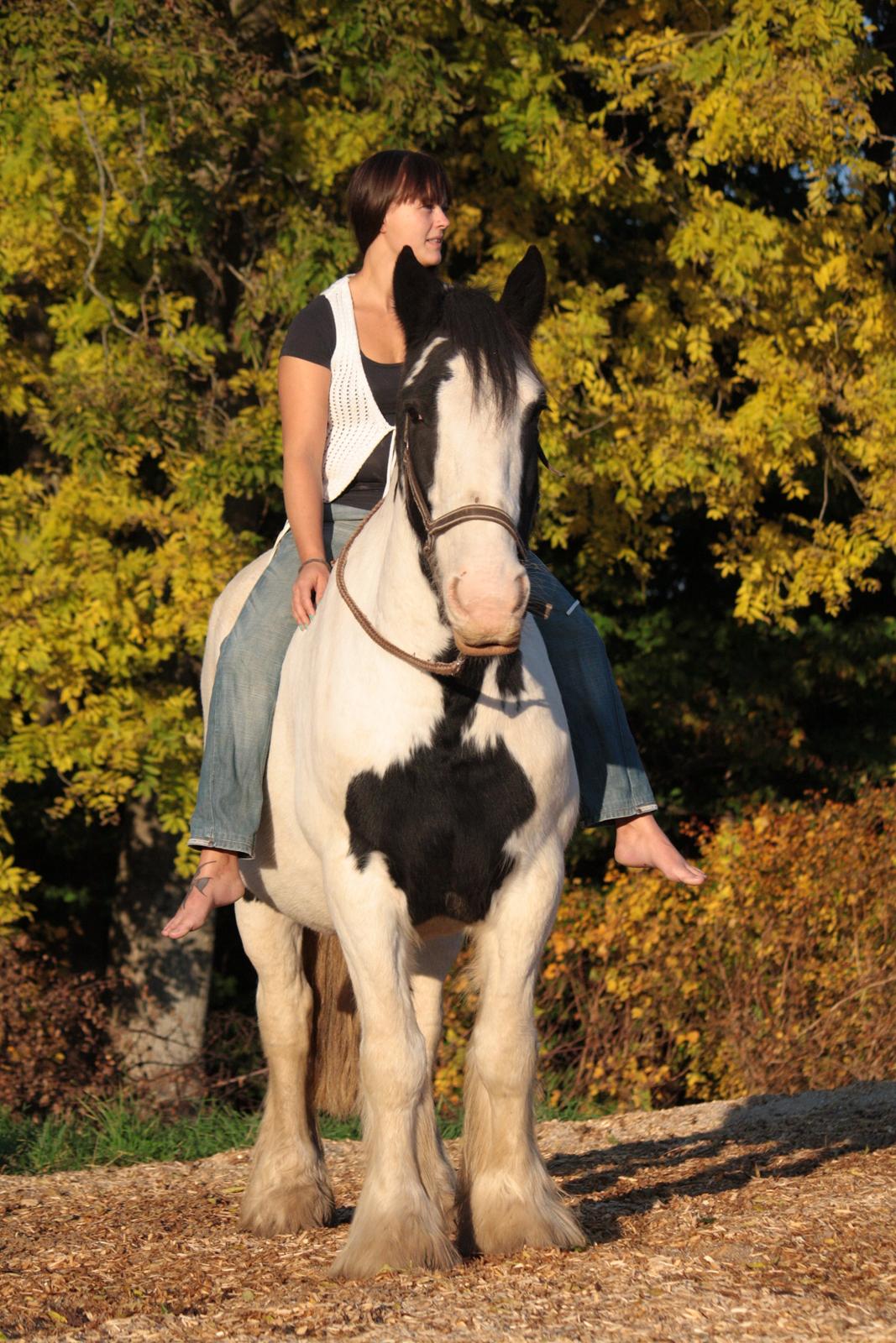 Tinker Auburn Flyer billede 10