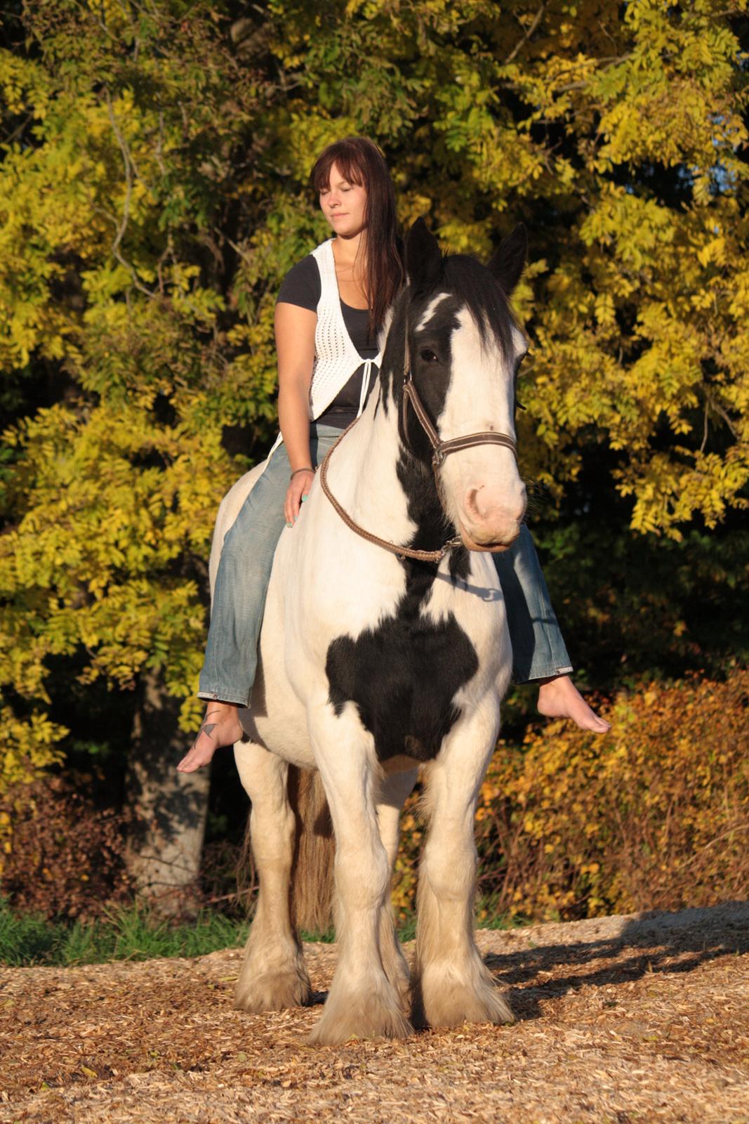 Tinker Auburn Flyer billede 11