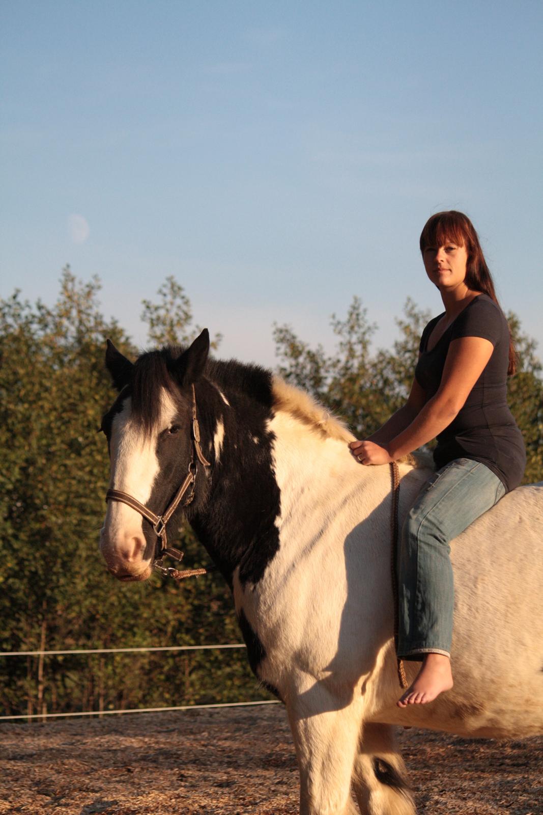 Tinker Auburn Flyer billede 12