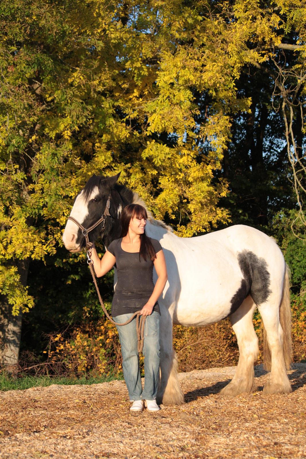 Tinker Auburn Flyer billede 14