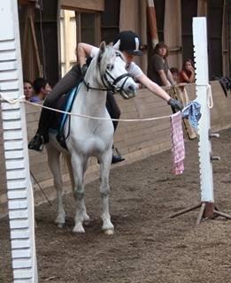 Anden særlig race Hyldeholts Butterfly billede 4