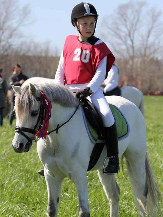 Anden særlig race Hyldeholts Butterfly billede 5