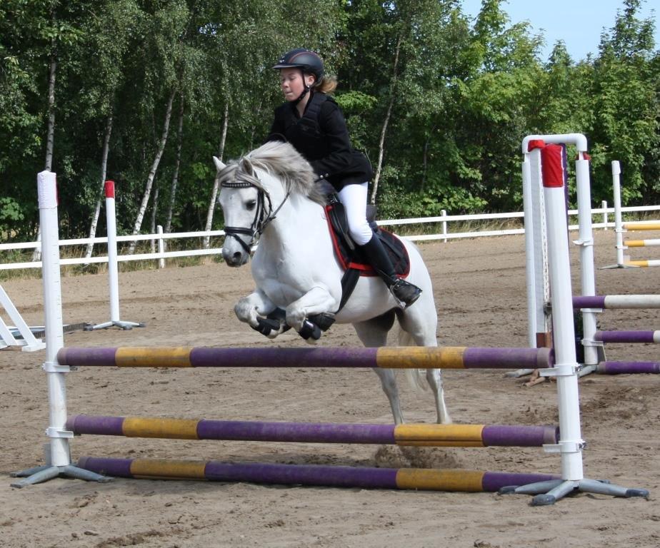 Anden særlig race Hyldeholts Butterfly billede 6