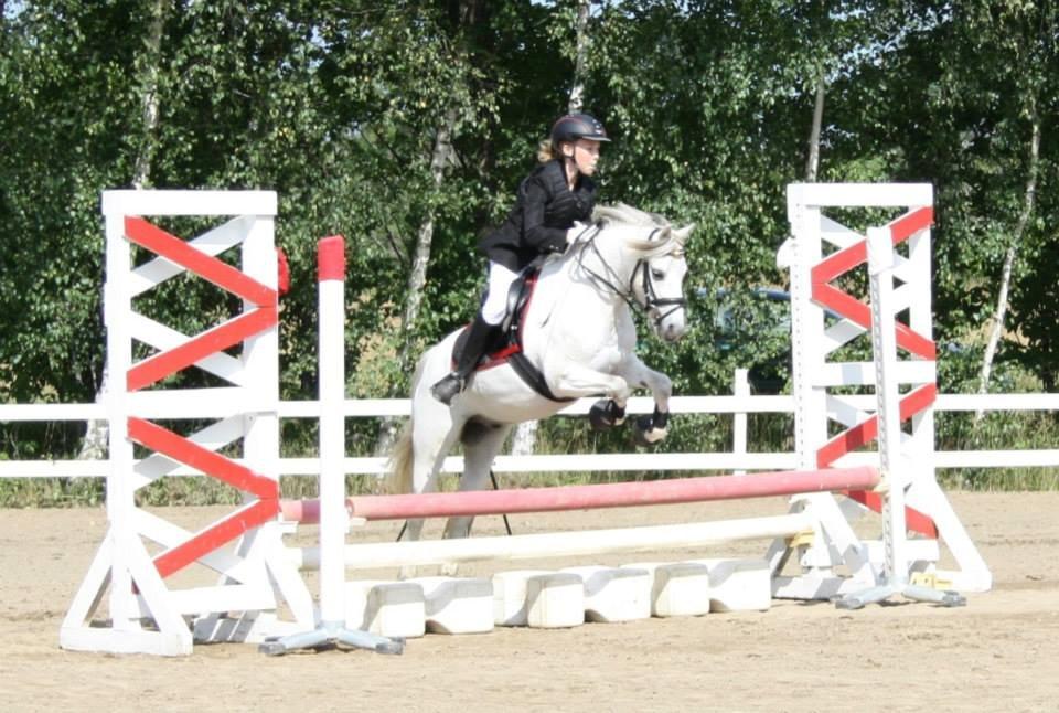 Anden særlig race Hyldeholts Butterfly billede 7