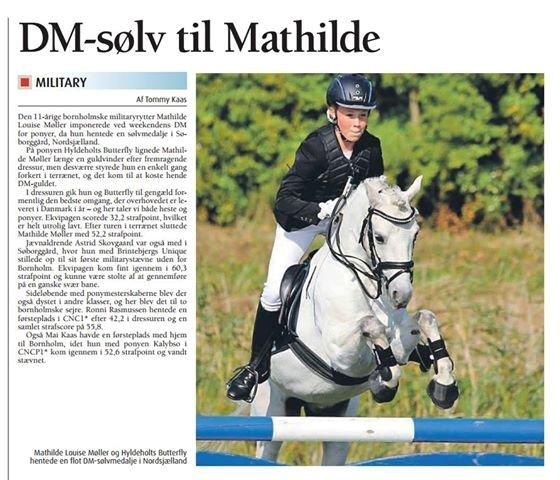 Anden særlig race Hyldeholts Butterfly billede 8