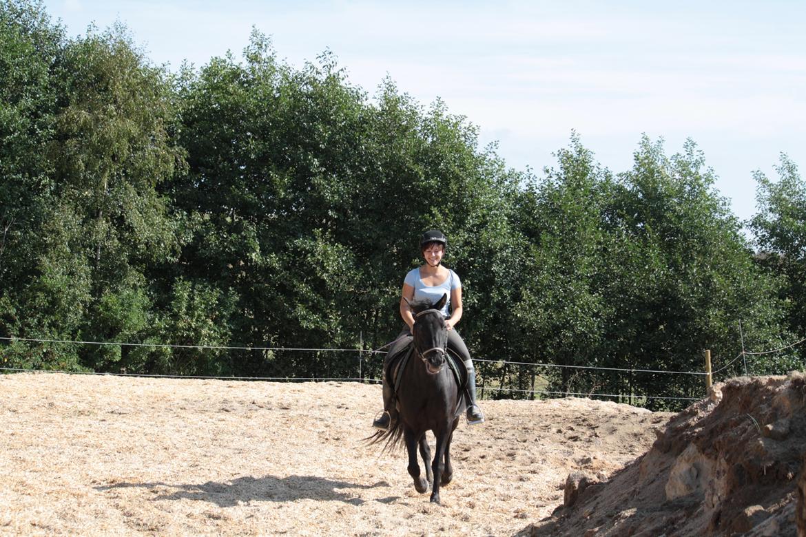 Anden særlig race Musse billede 6