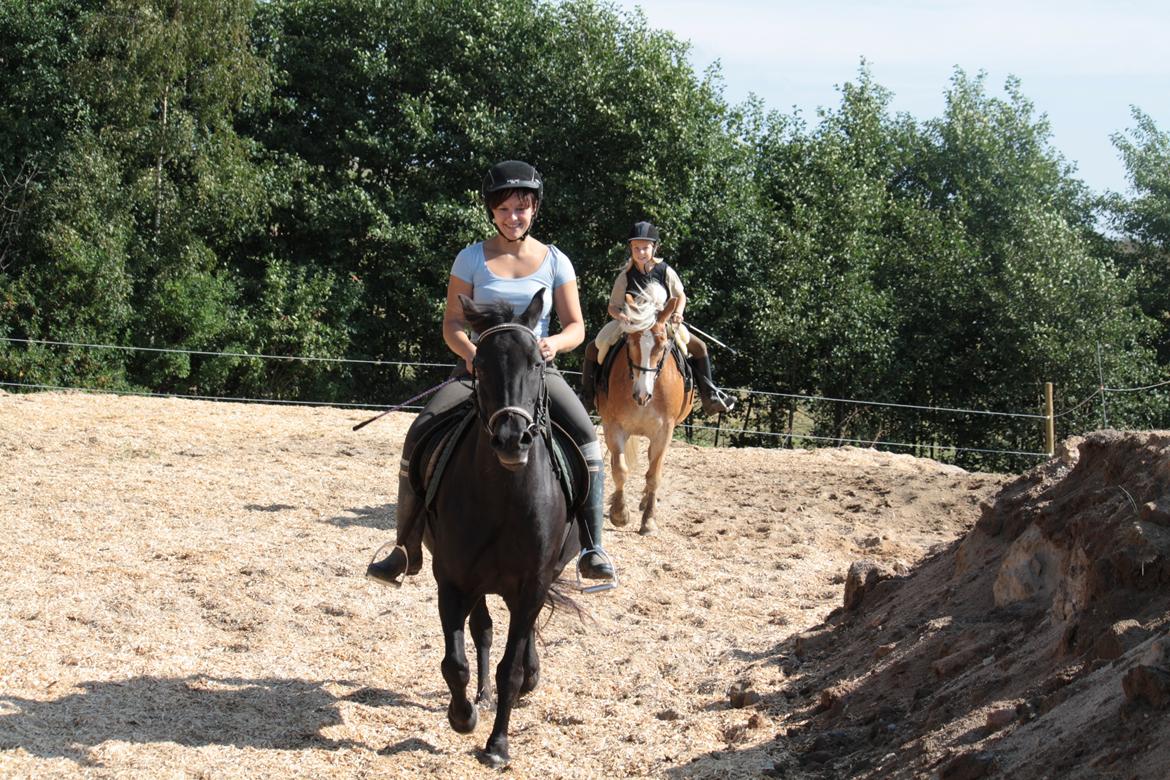 Anden særlig race Musse billede 7