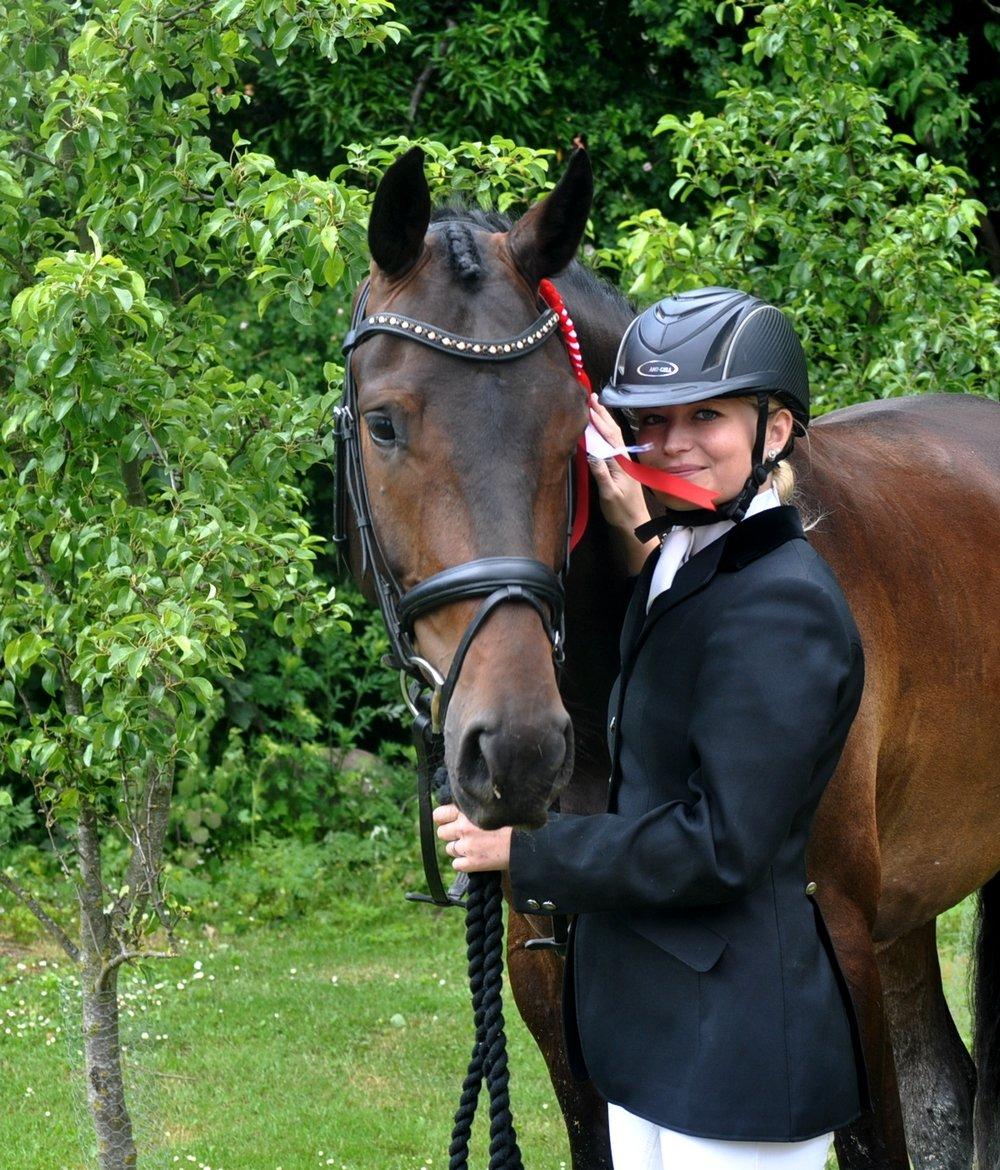 Dansk Varmblod Janus Lundsgård billede 15