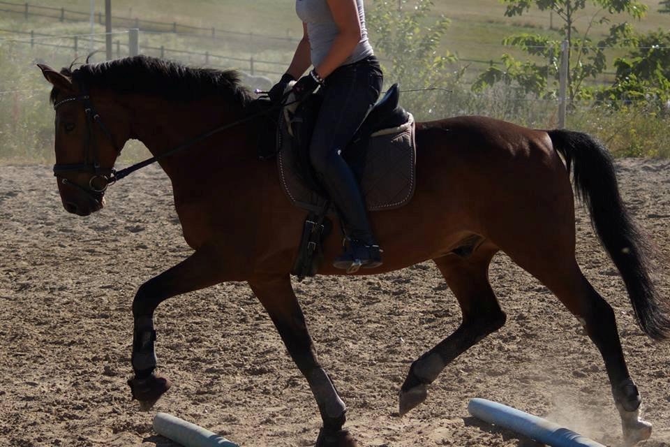 Oldenborg Vladimir - Velkommen til Vladimir's profil. Giv gerne en kommentar ;) billede 1