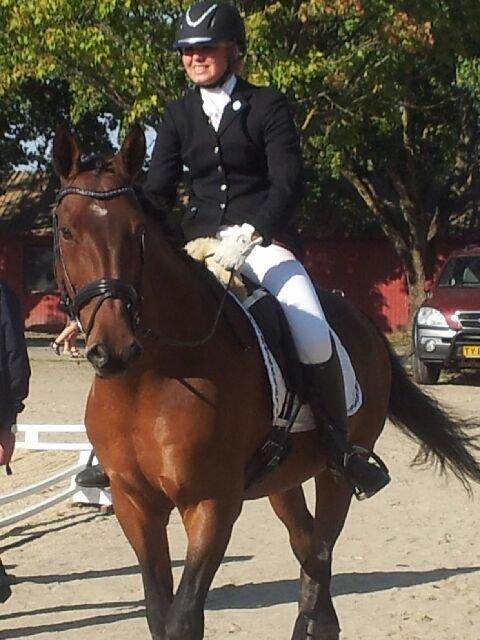 Oldenborg Vladimir - Stor Hestedag 2013 billede 2