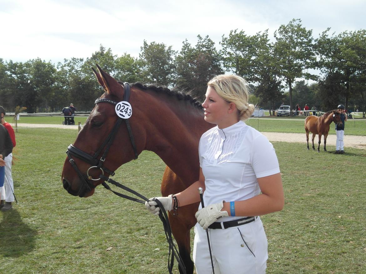 Oldenborg Vladimir - Stor Hestedag 2013.
Vi blev udtaget til Mønstrings konkurrence :) billede 6