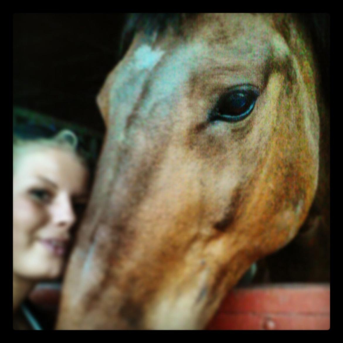 Oldenborg Vladimir billede 4